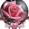 rositaorpeza827